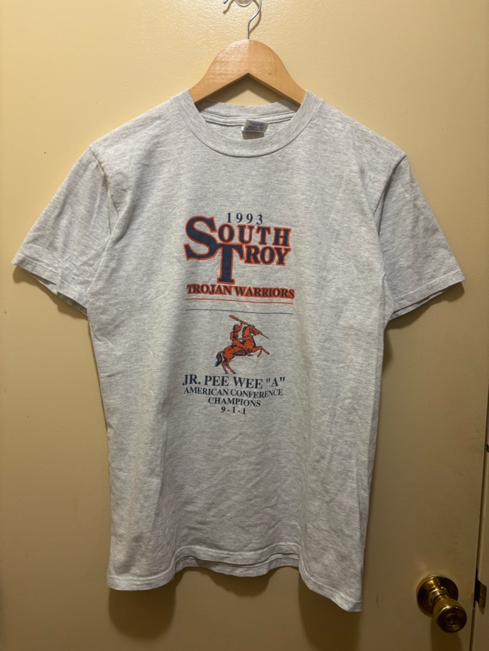 South Troy Trojan Warriors 1993 Gray Graphic Tee